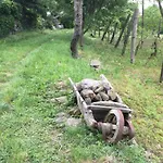 Tatil Evi Köfal Pince Raposka
