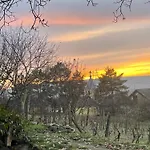 Tatil Evi Köfal Pince *
