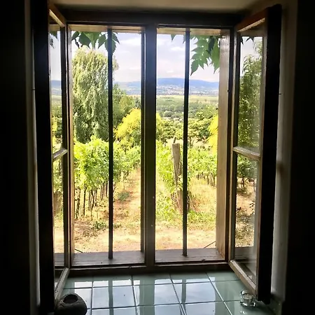 Koefal Pince Holiday home *