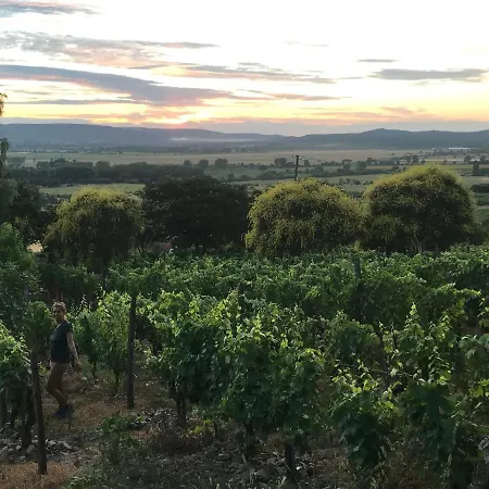 Koefal Pince * Raposka