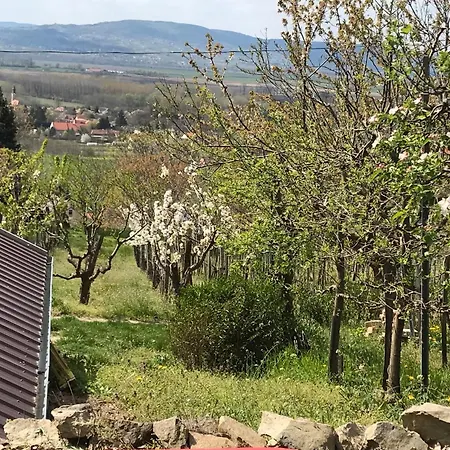 Koefal Pince Dom wakacyjny