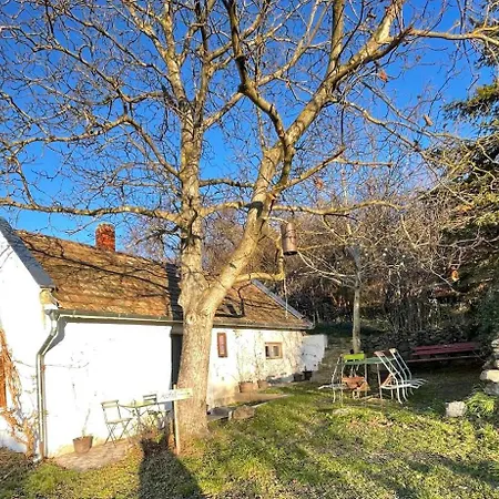 Köfal Pince