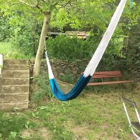 Koefal Pince Dom wakacyjny