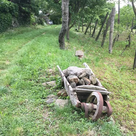 Vakantiehuis Koefal Pince Raposka