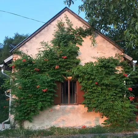Koefal Pince
