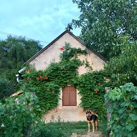 Koefal Pince Σπίτι διακοπών Raposka