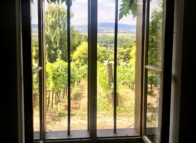 Koefal Pince Case de vacanță *