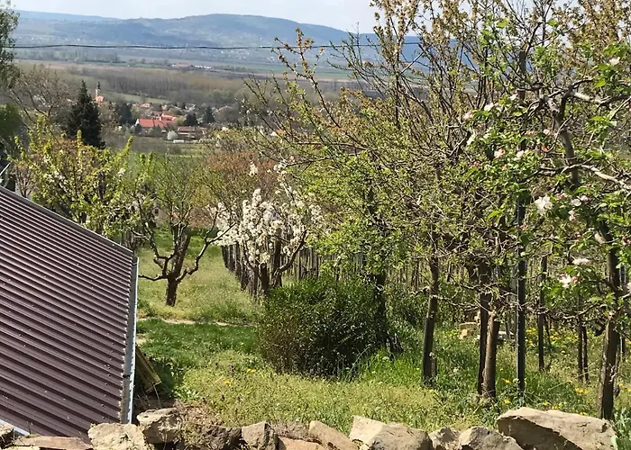 Koefal Pince Case de vacanță