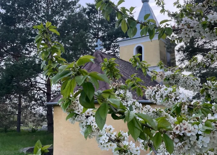 Semesterbostad Koefal Pince