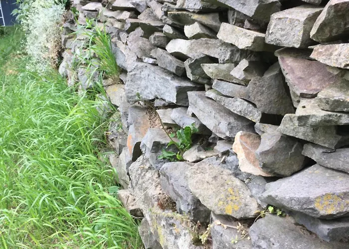 Koefal Pince Case de vacanță Raposka