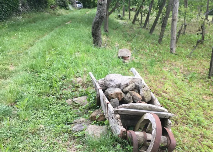 Semesterbostad Koefal Pince Raposka